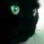 kaat's picture